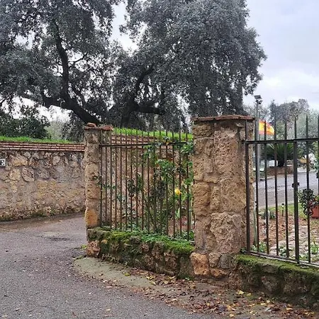 Pet-friendly Apartment