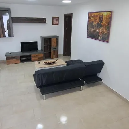 Pet-friendly Apartment